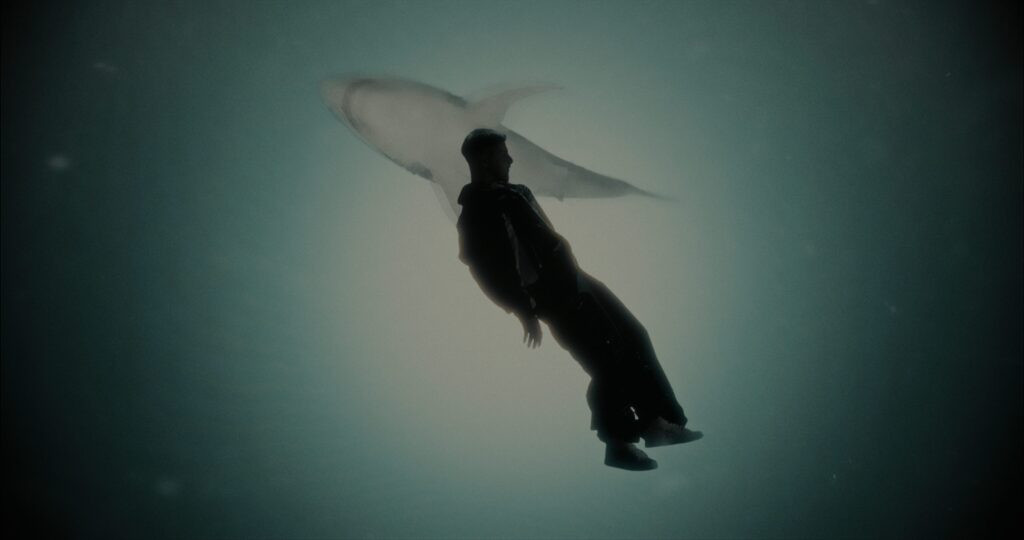 RVFV – EL TIBURÓN